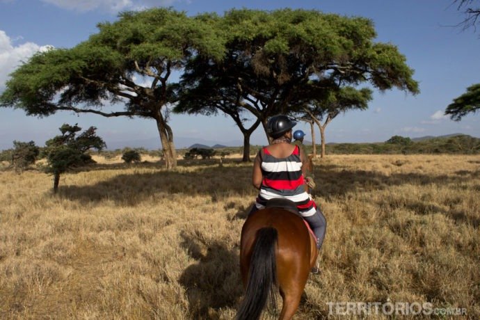 Coisas para fazer antes de morrer:  safari a cavalo