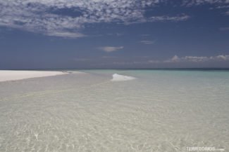 dia mundial dos oceanos