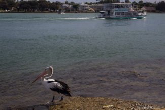 Mandurah