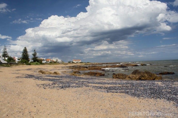 Playa Montoya no litoral do Uruguai