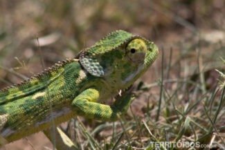 9 verdades e 1 mentira