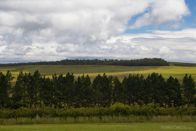 Santana do Livramento