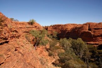 kings canyon