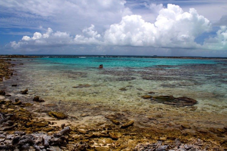 Ilha de Francisqui - Los Roques - Venezuela