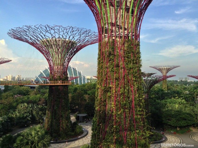 Supertrees no Gardens by a the Bay
