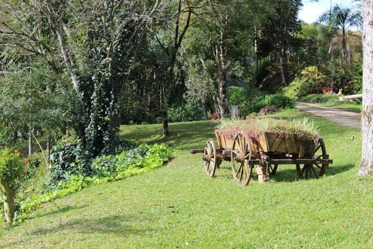 Gramado verde com árvores e charrete antiga de madeira como vaso de flor. Em Garibaldi