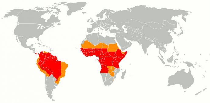 Região endêmica do mosquito transmissor em vermelho, áreas de risco atuais em laranja