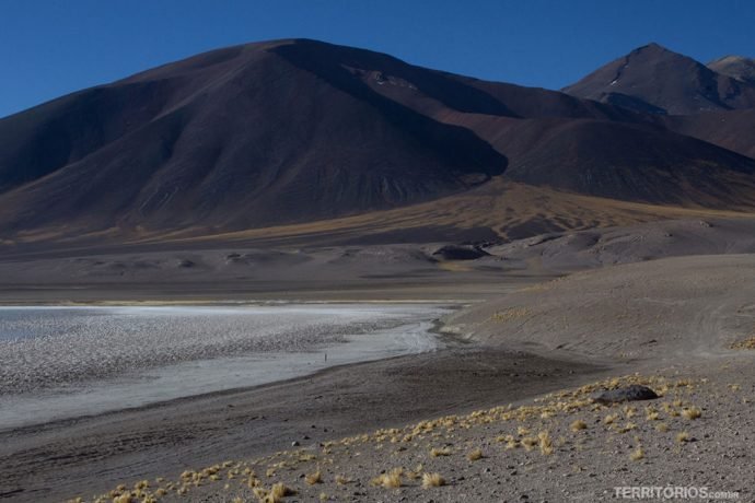 Lagunas Altiplanicas, no Deserto do Atacama