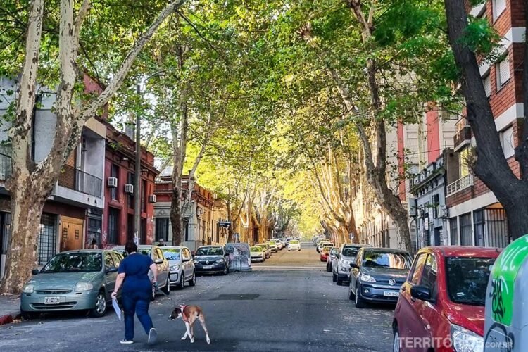 Rua arborizada nos bairros de Montevideo