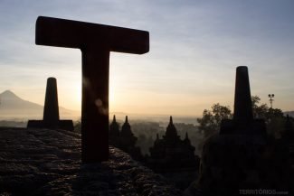 Alimentando os micos no café