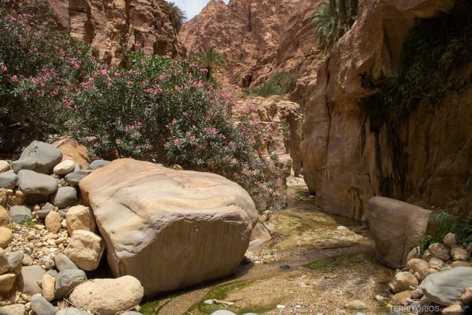 Trilha no interior de Wadi El Ghuweir