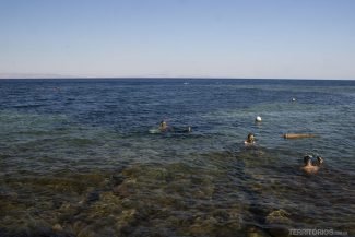 Mergulhar no Mar Vermelho está entre as melhores experiências