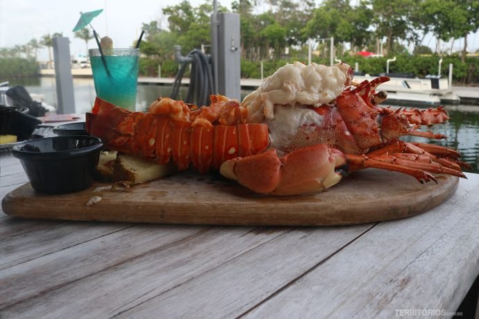 Stoned Lobster