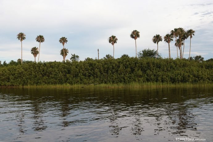 Estuário em New Smyrna Beach
