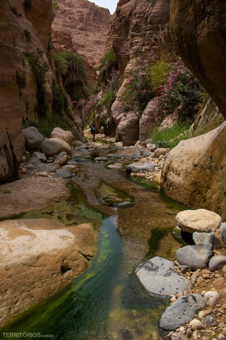 Caminhos coloridos no curso do rio em Wadi El Ghuweir