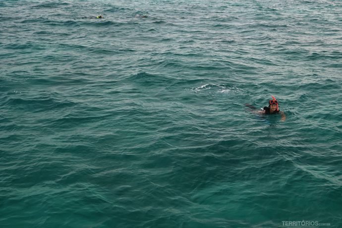 O que fazer em Key West: Snorkel 