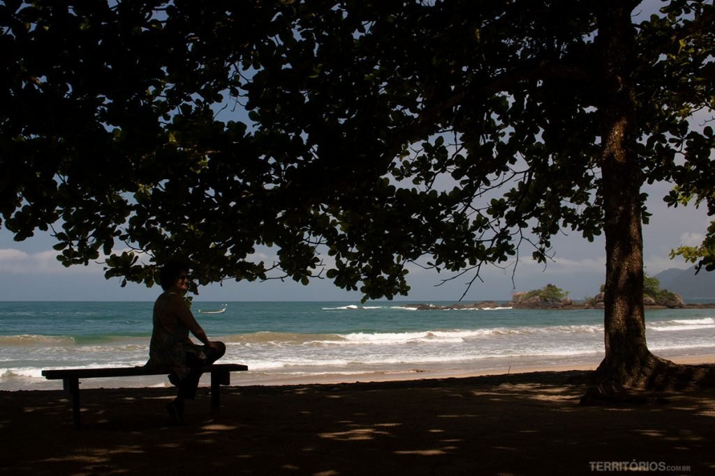 Curtindo a vista na sombra de uma das várias árvores na beira da praia de Castelhanos