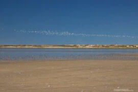Parque Nacional da Lagoa do Peixe