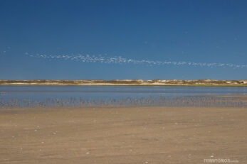 Parque Nacional da Lagoa do Peixe