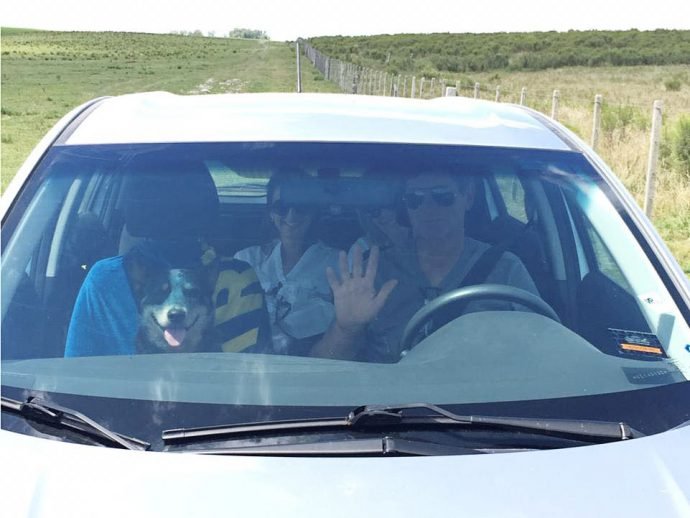 Família com seu cachorro dentro do carro foi quem enviou as dicas para viajar com animal de estimação para o Uruguai