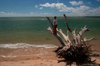 Para onde viajar em janeiro: praia do nordeste. Mulher em pé sobre tronco em resquício de árvore com raízes na beira da praia. Ela veste blusa branca, saia longa cor de laranja com flores azuis e chapéu bege com lenço azul enquanto olha para o horizonte. Mar em tons de verde, areia e vegetação no horizonte e céu azul com nuvens.