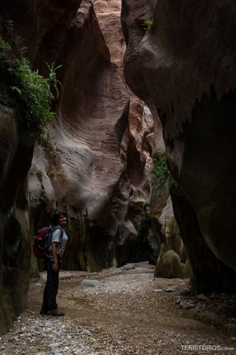 Dentro do cânion Wadi El Ghuweir