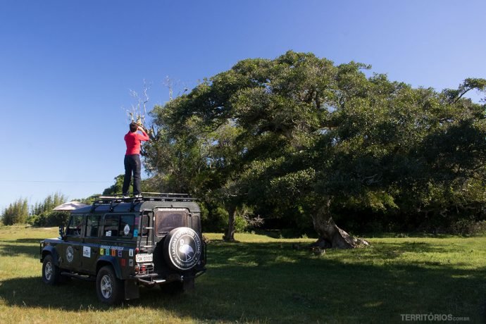 Trilha de jipe para observar aves