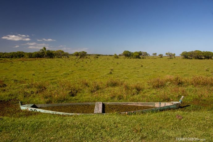 Mata nativa e o barco esperando inundado a próxima safra de camarão