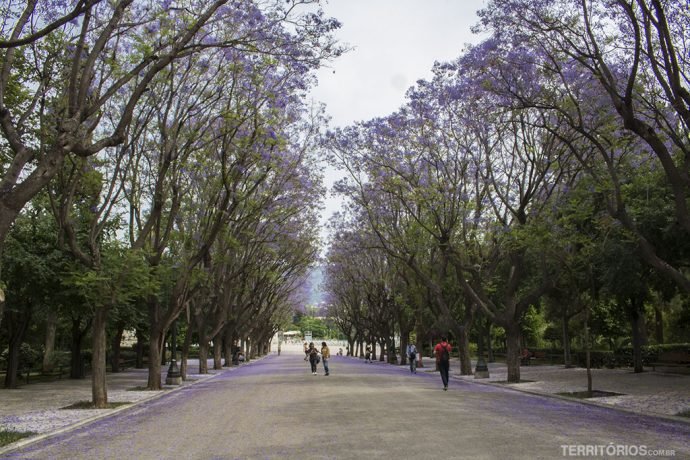 Primavera em Atenas