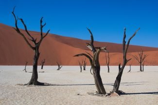 Viagem dos Sonhos na Namíbia