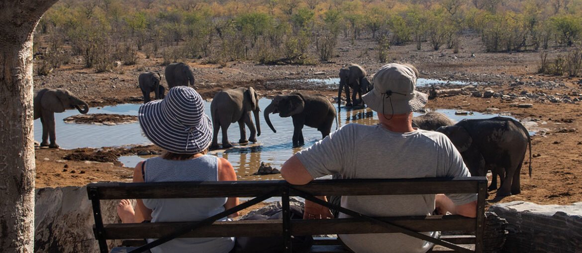 Casal observa elefantes no Parque Nacional Etosha