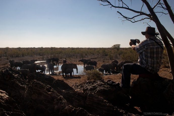 Homem fotografa manada de elefantes no lago em Halali Safari Camp