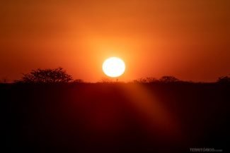 Pôr do sol na savana africana