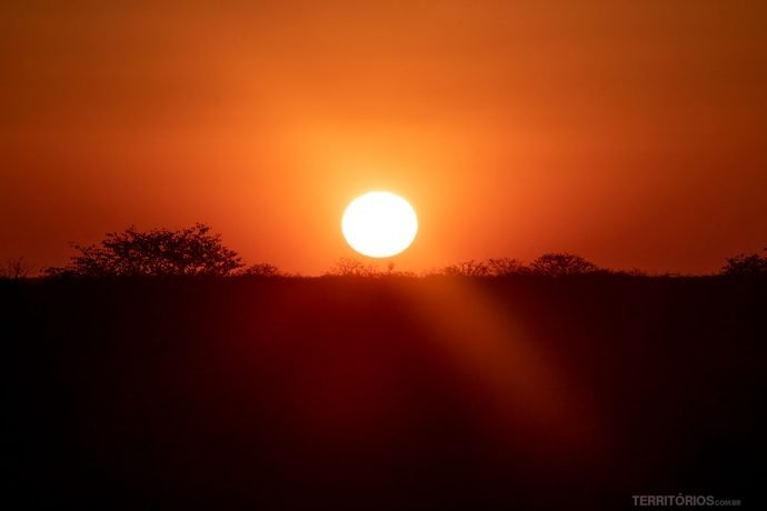 Pôr do sol na savana africana