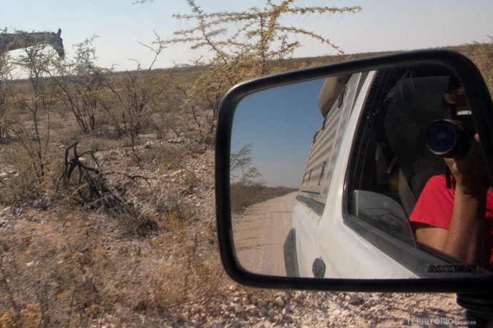 Retrovisor do carro e paisagem da savana africana