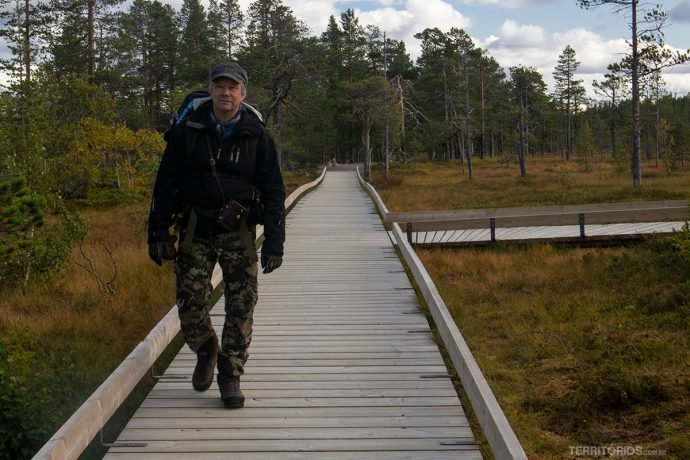 Peter nas passarelas do parque nacional com Floresta ancestral