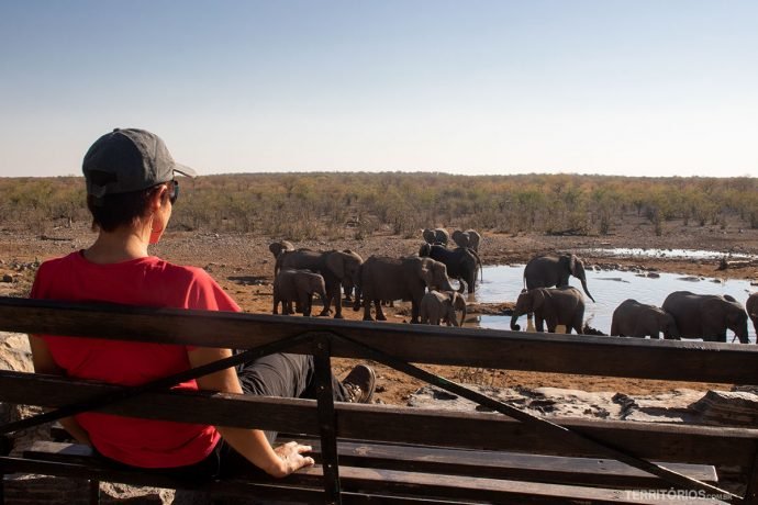 Safari em Etosha em camping na Namíbia