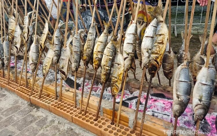 Tainhas no espeto de pau preparadas na brasa. Uma das comidas típicas do Rio Grande do Sul