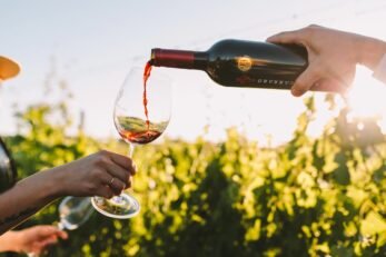 vinícolas na Serra Gaúcha