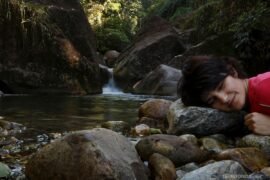 A viagem dos sonhos pandêmicos Roberta e os sonhos pandêmicos
