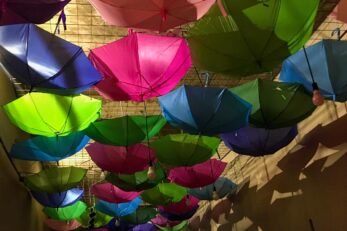 Decoração novo restaurante em Porto Alegre - Bar de Gràcia