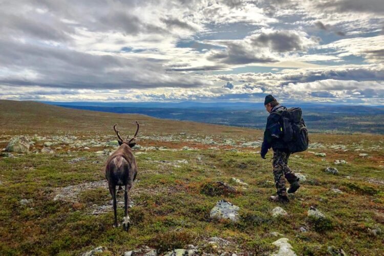 Indígena na Europa Peter e a rena
