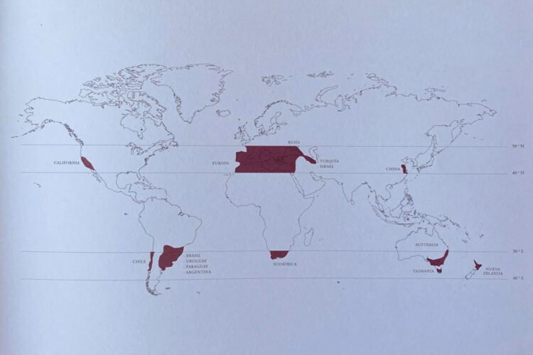 Mapa mundi mostra os paralelos e latitudes dos melhores vinhos do mundo. Foto: reprodução/ Book Aresti
