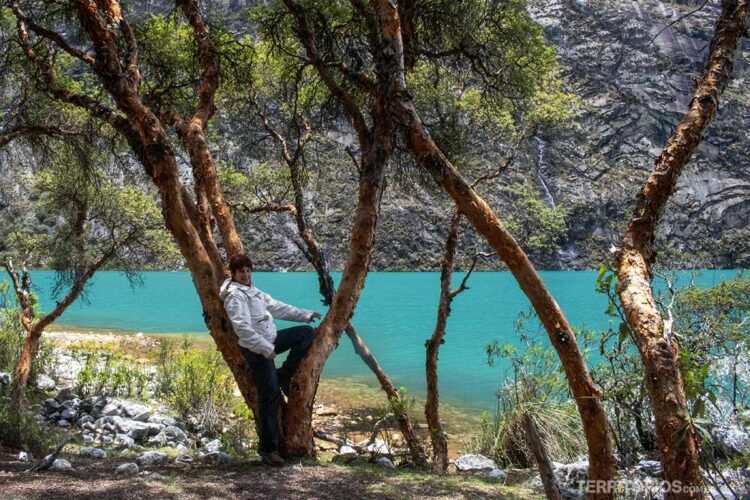 Mulher se acomoda na árvore típica dos andes. Lago cor turquesa e montanha ao fundo.