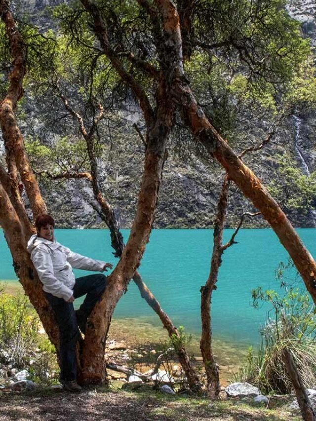 6 Experiências na Cordilheira Branca