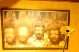 Restaurante tailandês em Porto Alegre