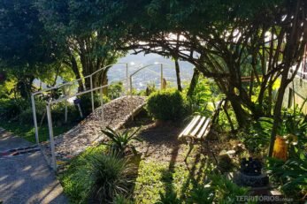 Ponte de mosaico entre árvores formando um arco