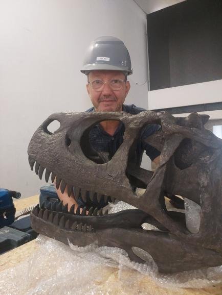 Homem em frente a osso da cabeça de dinossauros