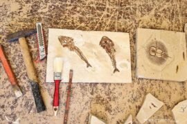 Dicas de viagem para quem ama dinossauros e fósseis Fósseis de peixes no Líbano