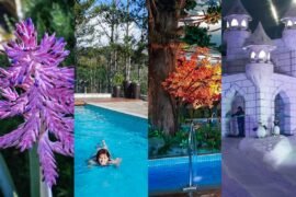 4 imagens representam as estações do ano nos atrativos de Gramado